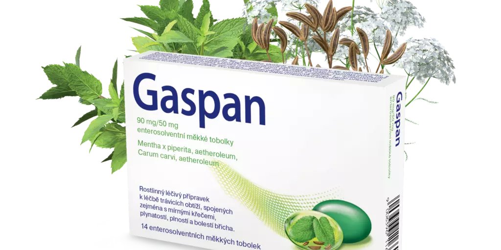 Gaspan krabička máta kmín