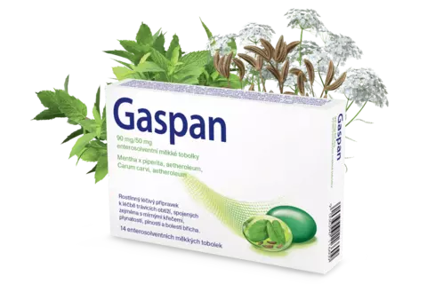 Lék Gaspan s mátou peprnou a kmínem